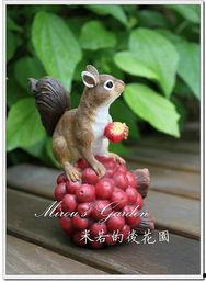 色艺无间松鼠啄果视频,色艺无间，自然界的和谐演绎